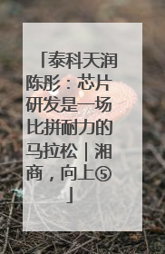 泰科天润陈彤：芯片研发是一场比拼耐力的马拉松｜湘商，向上⑤