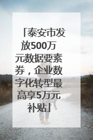 泰安市发放500万元数据要素券，企业数字化转型最高享5万元补贴
