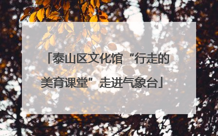 泰山区文化馆“行走的美育课堂”走进气象台