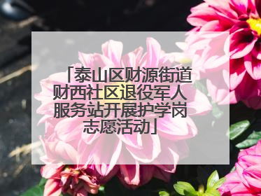 泰山区财源街道财西社区退役军人服务站开展护学岗志愿活动