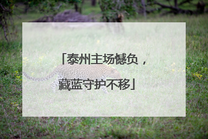 泰州主场憾负，藏蓝守护不移