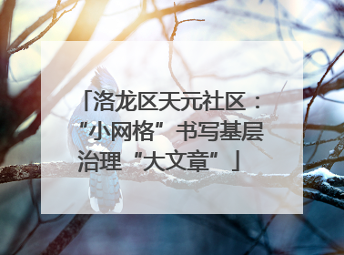 洛龙区天元社区：“小网格”书写基层治理“大文章”