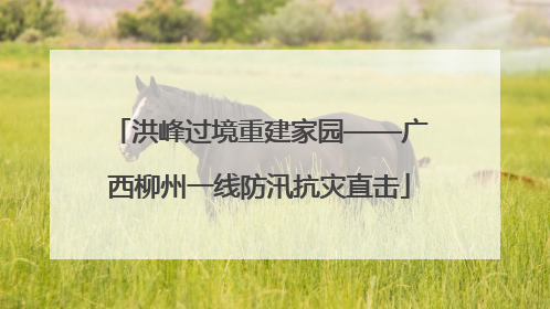洪峰过境重建家园——广西柳州一线防汛抗灾直击
