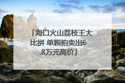 海口火山荔枝王大比拼 单颗拍卖出6.8万元高价