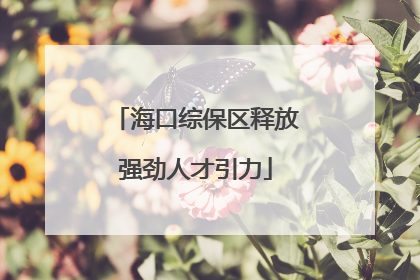 海口综保区释放强劲人才引力