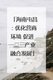 海南屯昌：优化营商环境 促进一二三产业融合发展