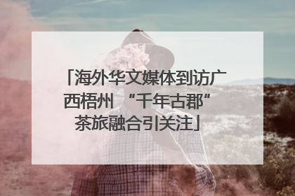 海外华文媒体到访广西梧州 “千年古郡”茶旅融合引关注
