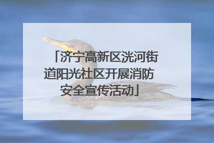 济宁高新区洸河街道阳光社区开展消防安全宣传活动
