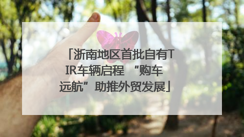 浙南地区首批自有TIR车辆启程 “购车远航”助推外贸发展