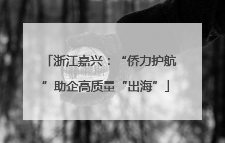 浙江嘉兴：“侨力护航”助企高质量“出海”