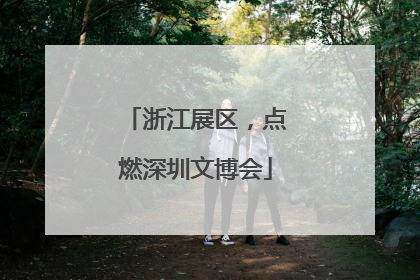 浙江展区，点燃深圳文博会