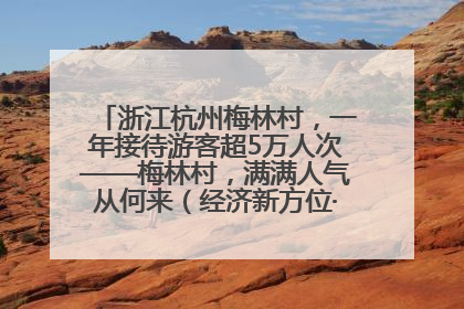 浙江杭州梅林村，一年接待游客超5万人次——梅林村，满满人气从何来（经济新方位·农村消费观察）