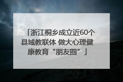 浙江桐乡成立近60个县域教联体 做大心理健康教育“朋友圈”