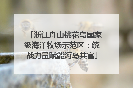 浙江舟山桃花岛国家级海洋牧场示范区：统战力量赋能海岛共富