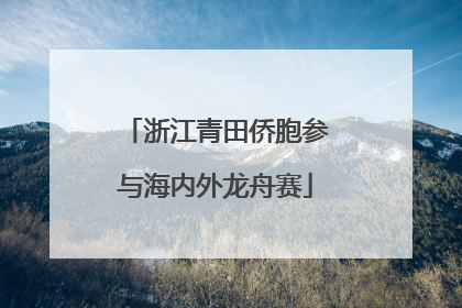 浙江青田侨胞参与海内外龙舟赛