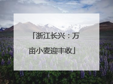 浙江长兴：万亩小麦迎丰收