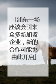 浦东一场座谈会引来众多新加坡企业，新的合作可能也由此开启