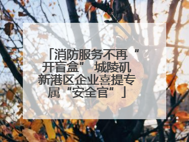 消防服务不再“开盲盒” 城陵矶新港区企业喜提专属“安全官”