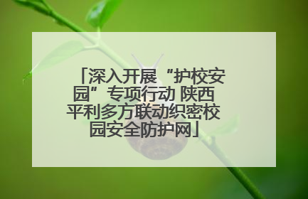 深入开展“护校安园”专项行动 陕西平利多方联动织密校园安全防护网