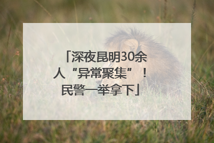 深夜昆明30余人“异常聚集”！民警一举拿下