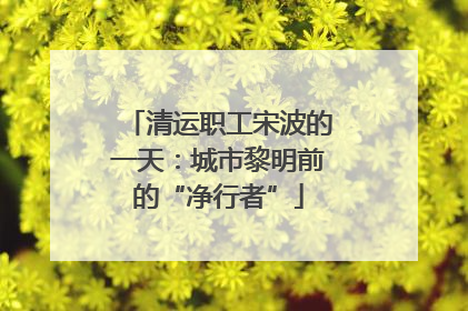 清运职工宋波的一天：城市黎明前的“净行者”