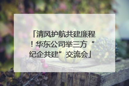 清风护航共建廉程！华东公司举三方“纪企共建”交流会