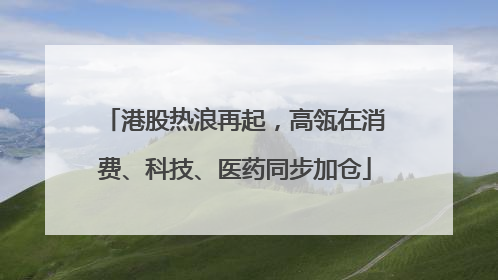 港股热浪再起，高瓴在消费、科技、医药同步加仓