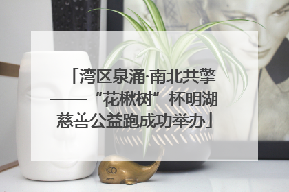 湾区泉涌·南北共擎——“花楸树”杯明湖慈善公益跑成功举办