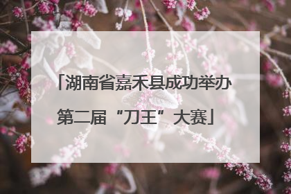 湖南省嘉禾县成功举办第二届“刀王”大赛
