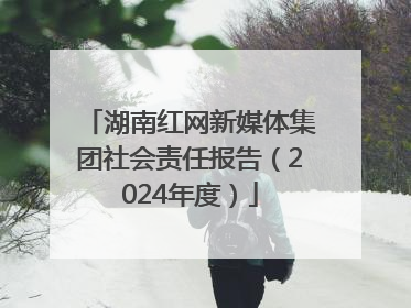 湖南红网新媒体集团社会责任报告（2024年度）