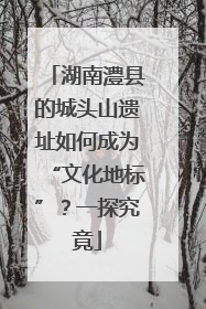 湖南澧县的城头山遗址如何成为“文化地标”？一探究竟