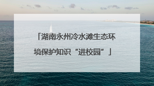 湖南永州冷水滩生态环境保护知识“进校园”