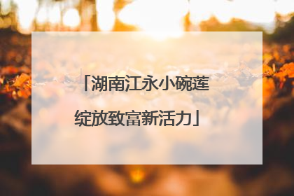 湖南江永小碗莲绽放致富新活力