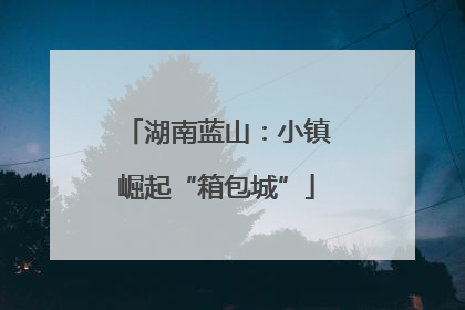 湖南蓝山：小镇崛起“箱包城”