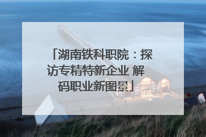 湖南铁科职院：探访专精特新企业 解码职业新图景