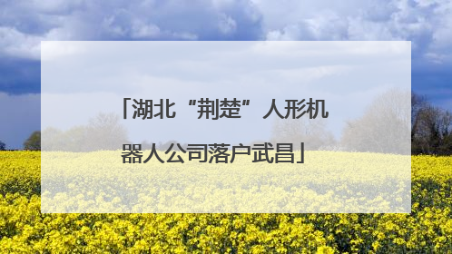湖北“荆楚”人形机器人公司落户武昌