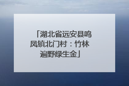 湖北省远安县鸣凤镇北门村：竹林遍野绿生金