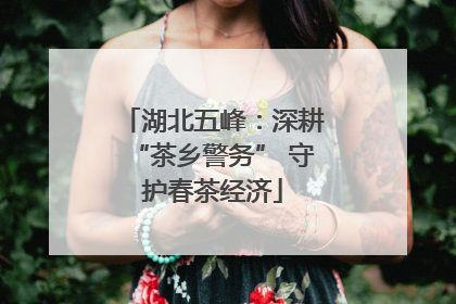 湖北五峰：深耕“茶乡警务” 守护春茶经济