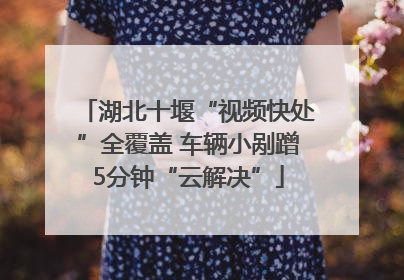 湖北十堰“视频快处”全覆盖 车辆小剐蹭5分钟“云解决”
