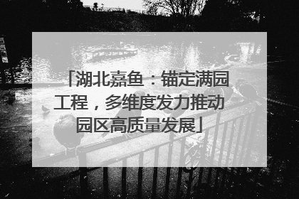 湖北嘉鱼：锚定满园工程，多维度发力推动园区高质量发展