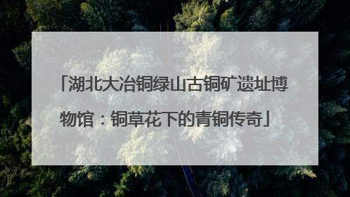 湖北大冶铜绿山古铜矿遗址博物馆：铜草花下的青铜传奇