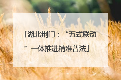 湖北荆门：“五式联动”一体推进精准普法
