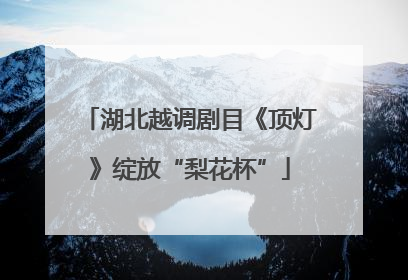 湖北越调剧目《顶灯》绽放“梨花杯”