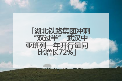 湖北铁路集团冲刺“双过半” 武汉中亚班列一年开行量同比增长72%
