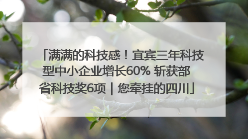 满满的科技感！宜宾三年科技型中小企业增长60% 斩获部省科技奖6项｜您牵挂的四川
