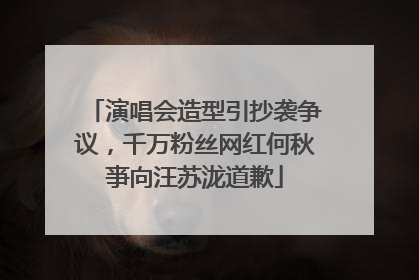 演唱会造型引抄袭争议，千万粉丝网红何秋亊向汪苏泷道歉