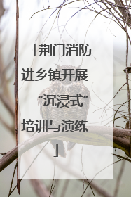 荆门消防进乡镇开展“沉浸式”培训与演练