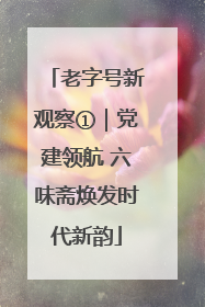 老字号新观察①｜党建领航 六味斋焕发时代新韵