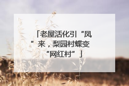 老屋活化引“凤”来，梨园村蝶变“网红村”