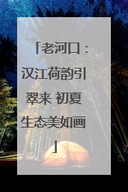老河口：汉江荷韵引翠来 初夏生态美如画